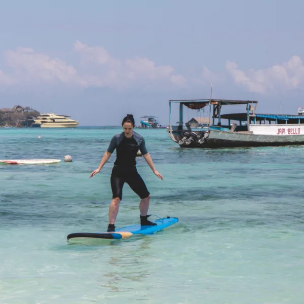 INTRODUCTION TO SURFING