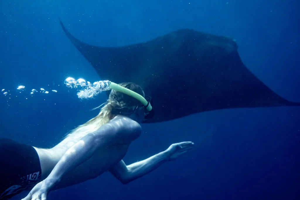 Snorkeling Retreat in Nusa Lembongan: Manta Ray Dreams and Safe Planning
